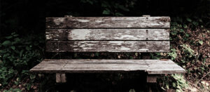 old bench in park